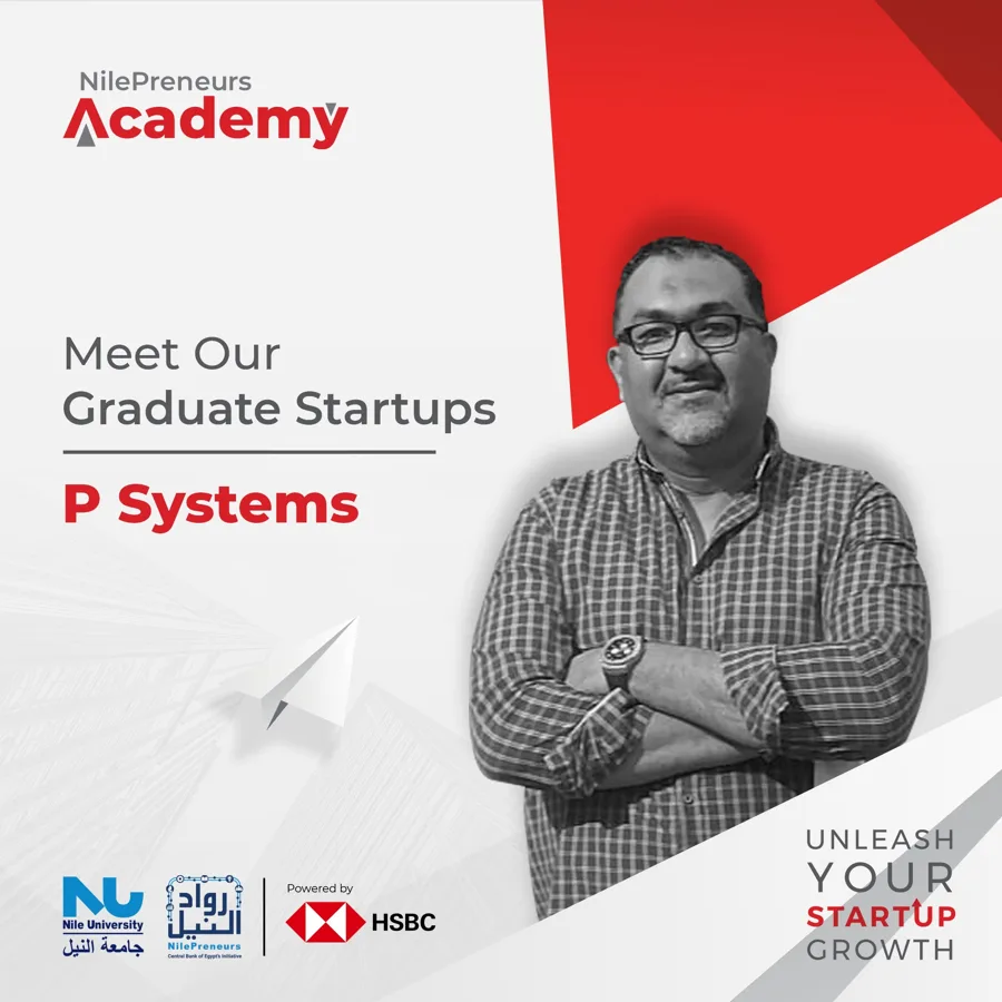 NP Academy cycle 2: P Systems