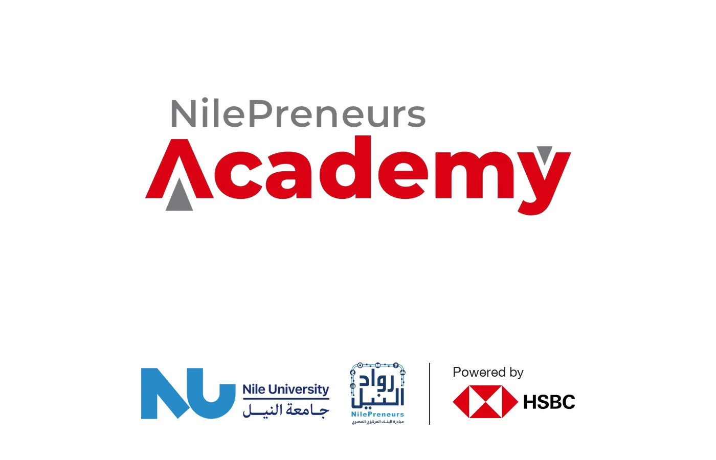 NilePreneurs Academy